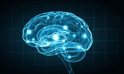 Cortisol 101
